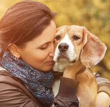 Some of what you have seen or heard about cancer may not apply to many teens want to know what to expect during their parent's cancer treatment. What To Do If Your Dog Has Cancer American Kennel Club