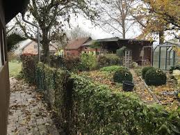 Zur natur gehören eben auch tiere und gerade vögel machen eines vorweg: Traume Archive Achims Garten