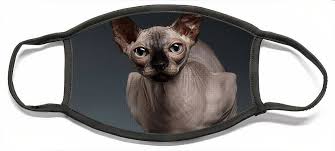 Check spelling or type a new query. Sphynx Cat Sits In Front View On Black Face Mask For Sale By Sergey Taran
