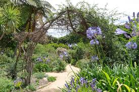 Vaucluse house survives as one of sydney's only nineteenth century harbourside estates with house, kitchen wing, stables and outbuildings and is still surrounded by ten hectares of formal gardens and grounds. Vaucluse House Sydney A Review The Accidental Australian