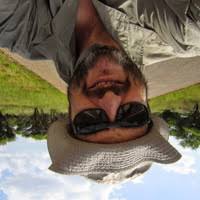 Image result for Indigofera soutpansbergensis