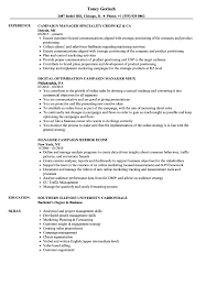 manager, campaign resume samples