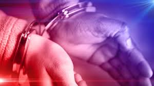 Bay County Arrest Report: January 2019