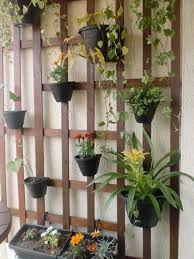 No tolera mucho el frío. Plantas Decoracion Plantas Balcones Con Plantas Jardines Colgantes