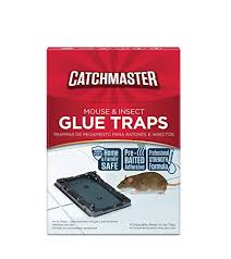36 catchmaster 288i insect & spider trap and monitor glue boards (108 monitors) new catchmaster pest glue traps 72 pack white catch mice spiders snakes insect. Top 10 Best Glue Traps 2021 Bestgamingpro