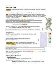 Challenge this dna strand consists of eight pairs of nitrogenous bases how many. Gizmo Warm Up The Building Dna Gizmo Allows You To Construct A Dna Molecule And Course Hero