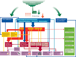 Wed 23 jun 2021 12.34 edt. Health And Climate Change Policy Responses To Protect Public Health The Lancet