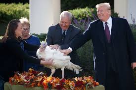 We did not find results for: What Donald Trump Liked About Being President The New York Times
