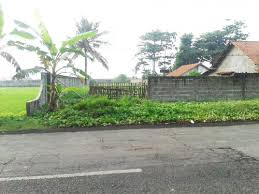 Maybe you would like to learn more about one of these? Harga Tanah D Cilacap Jualsewatanah Com