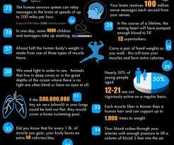 When you want to hit the road for an adventure, a camper is an integral part of the equation. 40 Facts About Fitness Are You Currently Livi Tumbex