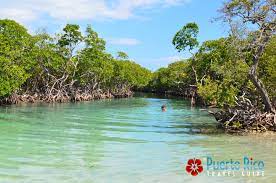 It is popular with locals for swimming, snorkeling, bea. Giligan S Island Puerto Rico Guanica Guilligan Guide 2021 Ferry Tours Photos