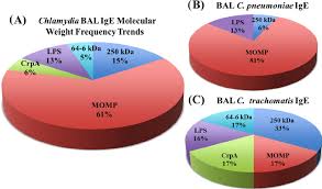 Chlamydia Protein Molecular Weight Frequency Trends In Bal