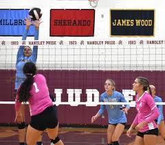 Image result for Deverra burchellii