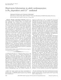 Hakim sid (born 2 july 1975), better known by his stage name demon one, is a french rapper of algerian origin. 2