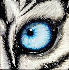 With color pencils, you can draw hyper realistic eyes. White Tiger Eyes Drawing Peepsburgh