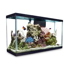 Check spelling or type a new query. Aqueon Standard Glass Aquarium Tank 29 Gallon Petco