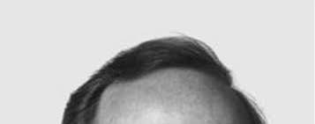 Image result for Cardiochilos williamsonii