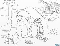 Have You Seen The New Baby Orangutan At The Phoenixzoo This With Regard To Free Printable Baby Orangutan Coloring Pages