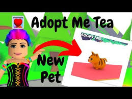 That's right folks, the new playful pet update is about to go live in adopt me on roblox. Mrsmeanclaw Youtube Cat Skin Pets Pets Cats