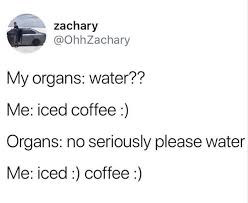 32 Very Funny Memes That Make You Laugh No Matter What Kate Sprouse Funny Kate Laugh Matter Mem Very Funny Memes Funny Memes Funniest Pictures Ever