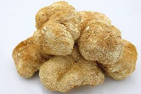 Lion's mane mushroom is widely consumed in asian countries (china, india, japan, and korea) both for culinary and medicinal purposes. Lion S Mane Mushrooms