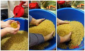 De la semoule au couscous. Histoire Et Origine Du Couscous La Cuisine D Eva