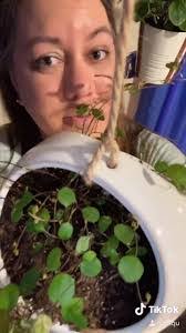 Angel Vines's Instagram, Twitter & Facebook