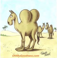 I was project lead on this spot. Ohmygoodness Com Funny Ecards Animated Happy Silicon Hump Day