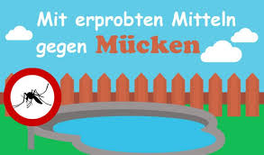 Pin Auf Insekten Aus Dem Pool Entfernen