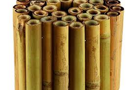 Gardman Rouleau De Bordure En Bambou Bambou