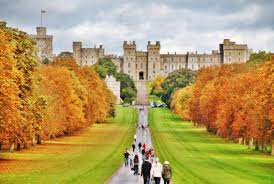 Procure um membro oficial da equipe e/ou ligue para a linha nacional de apoio ao coronavírus no número 111. Castelo De Windsor Windsor Castle Londres Com Marilia Buckeridge