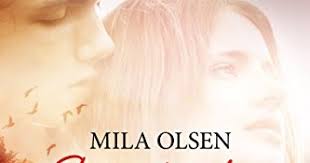 Ich ging ans meer und weinte beim sonnenuntergang. The Passion Of Books Rezension Entfuhrt Bis Du Mich Liebst