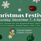 Community Christmas Festival event in Kingsport, TN