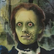Amazon.com: Amscan Girl Zombie Lenticular Portrait, Halloween Decor 18" x  12", Multicolor : Home & Kitchen