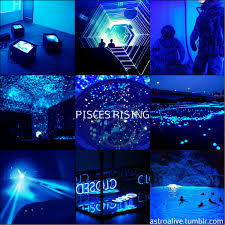 Their calm, innocent eyes seduce everyone. Astrology Wonderings Astrology Glow Aesthetic Pisces Rising Passive