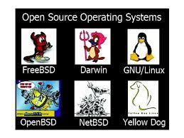 Click here to learn what makes open source software so popular among developers and innovators what makes this operating system different from the others is that it costs nothing and it is incredibly customizable. Examples Of Open Source Operating Systems Download Scientific Diagram