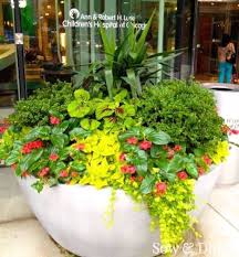 Thoroughly water your basket before you hang it up. Hanging Baskets For Shade