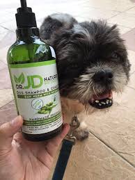 Created by icelandicorangutana community for 5 years. Little Fat Dog Home Facebook