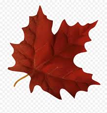 You can choose the most popular free falling leaves gifs to your phone or. Maple Leaf Clipart Autumn Fall Leaf Gif Transparent Gif Autumn Leaf Transparent Background Png Free Transparent Png Images Pngaaa Com