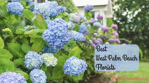 Sunnyside 202 e boynton bch blvd boynton beach, fl 33435. The 5 Best West Palm Beach Florists 2021