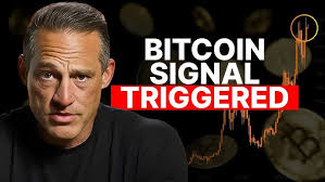 Chart That Predicted Every Bitcoin TOP Says this This is NOT Over!!!