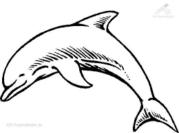 Delphin Malvorlage Ausmalbilder Fur Kinder Delphinzeichnung Tiervorlagen Ausmalen
