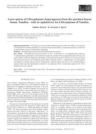 Image result for Chlorophytum zingiberastrum