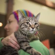 We Were Adopted (January 01-07, 2017) (Richmond SPCA Blog)