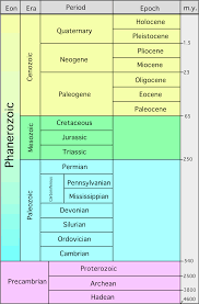 38 Competent Paleozoic Era Chart
