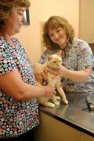 Maybe you would like to learn more about one of these? I Love People Who Love Animals