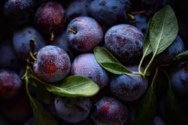 Bringing fond memories of new england to carlsbad. Plum A Delicious Fruit