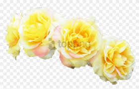 Free Png Tumblr Transparent Flower Crown Png Image Yellow Flower Crown Transparent Png Download 850x508 2247197 Pngfind Wreath flower crown, flowers crown s, herbaceous plant, website png.