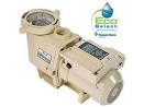 Pentair Pool Pumps - Pentair SuperStore - In The Swim