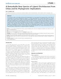 Image result for Liparis odontochilos